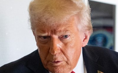 What the last Trump presidency can teach us about fighting back